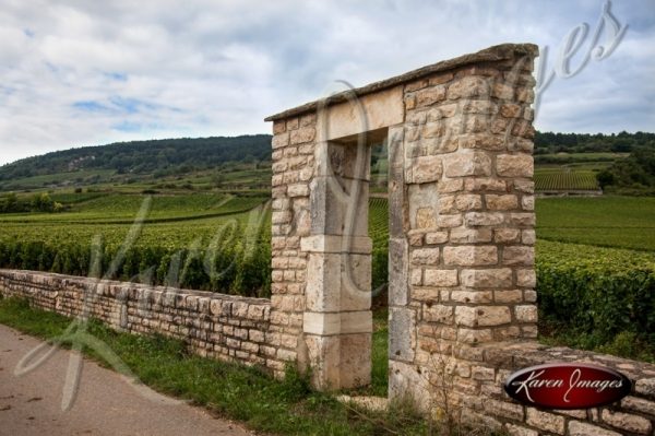 Vineyard Clos in Meursault France