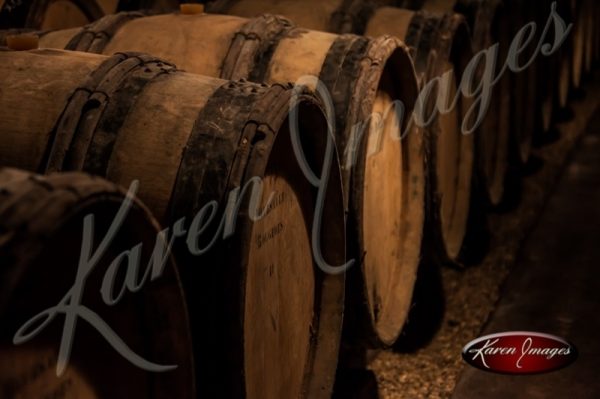 barrels of pinot noir in a cave in bourgogne france