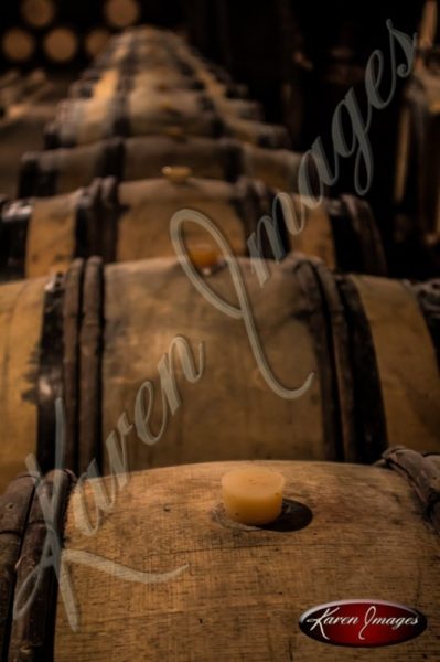 barrels of pinot noir in a cave in bourgogne france