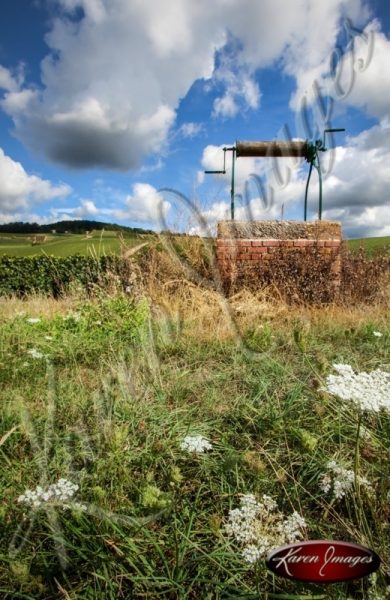 vineyard well in ay france champagne