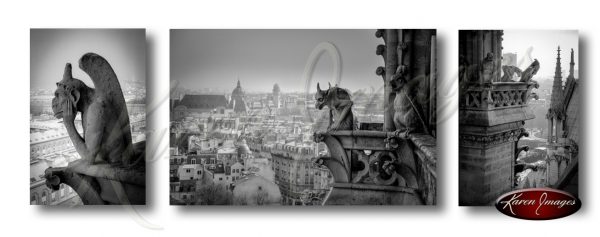Set of 3 images of gargoyles of Notre Dame cathedral paris france
