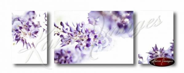 Set of 3 wisteria blossom images