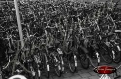 bikes in bicycle parking lot central station amsterdam