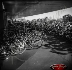 bikes in bicycle parking lot central station amsterdam