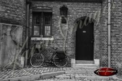 bike in brugge in black and white