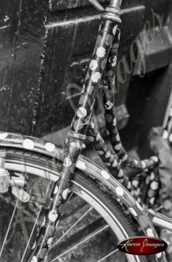 bike in brugge in black and white