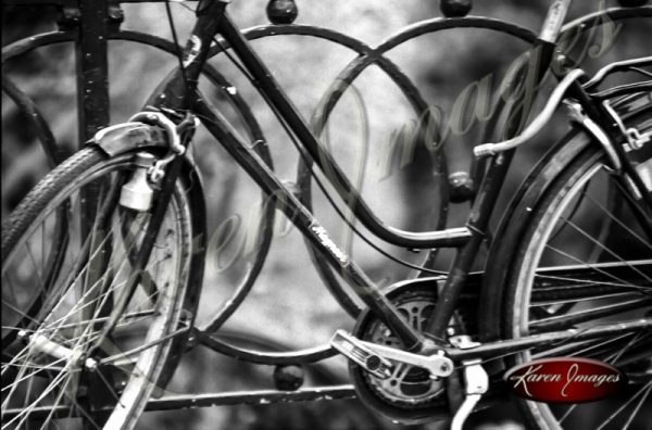 bike in brugge in black and white
