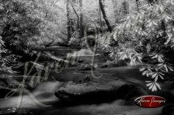 Black and white of rivers streams waterfalls smokey mountains cumberland gap amicalola falls