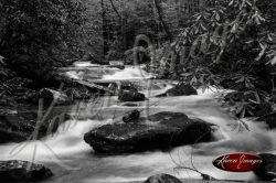 Black and white of rivers streams waterfalls smokey mountains cumberland gap amicalola falls