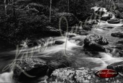 Black and white of rivers streams waterfalls smokey mountains cumberland gap amicalola falls