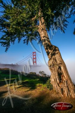 Golden Gate Bridge color photo San Francisco California