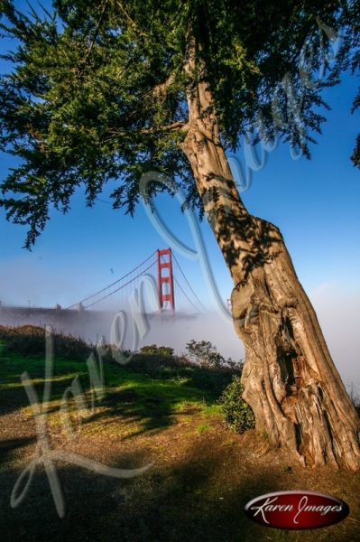 Golden Gate Bridge color photo San Francisco California