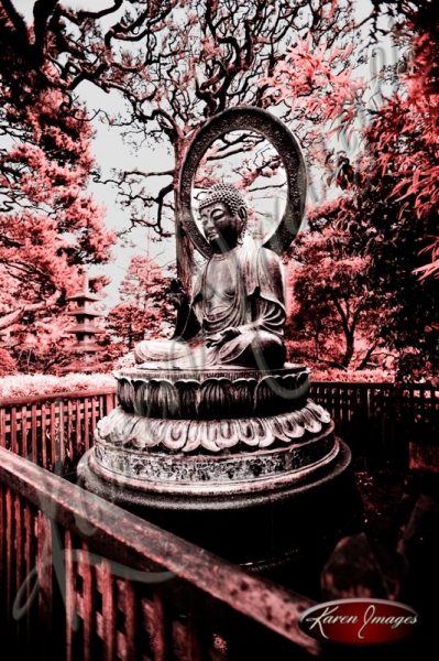 Japanese Tea Garden San Francisco color image of Buddha