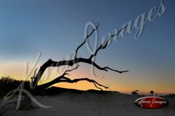 Cumberland Island seashore sea beach beach images marsh ocean views sunsets