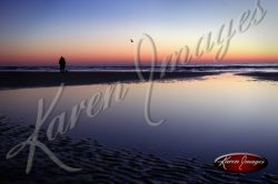 Cumberland Island seashore sea beach beach images marsh ocean views sunsets