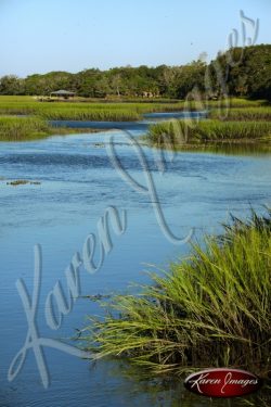 Cumberland Island seashore sea beach beach images marsh ocean views sunsets