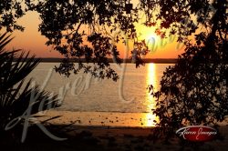 Cumberland Island seashore sea beach beach images marsh ocean views sunsets