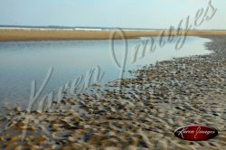 Cumberland Island seashore sea beach beach images marsh ocean views sunsets