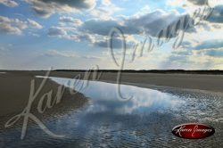 Cumberland Island seashore sea beach beach images marsh ocean views sunsets