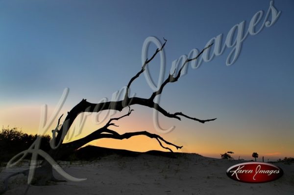 Cumberland Island seashore sea beach beach images marsh ocean views sunsets