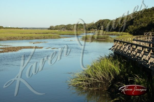 Cumberland Island seashore sea beach beach images marsh ocean views sunsets