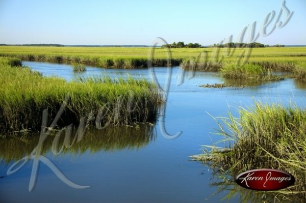 Cumberland Island seashore sea beach beach images marsh ocean views sunsets