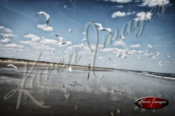 Cumberland Island seashore sea beach beach images marsh ocean views sunsets