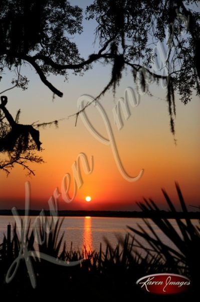 Cumberland Island seashore sea beach beach images marsh ocean views sunsets