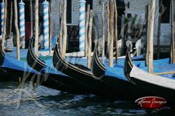 cleared art of venice san marco square italy bridge of sighs canals gondolas