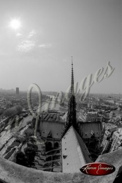 black and white image of notre dame cathedral paris france gargoyles seine