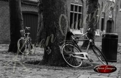 bike in brugge in black and white