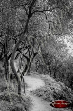 black and white image of cinque terre italy