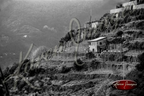 black and white image of cinque terre italy